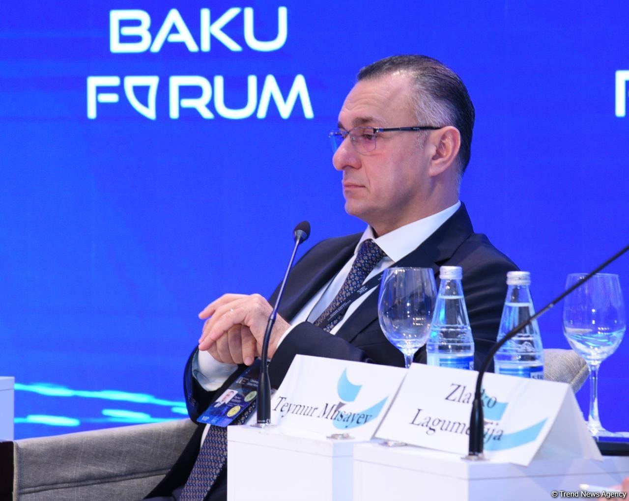 IX Global Baku Forum participants discuss health governance issues (PHOTO)