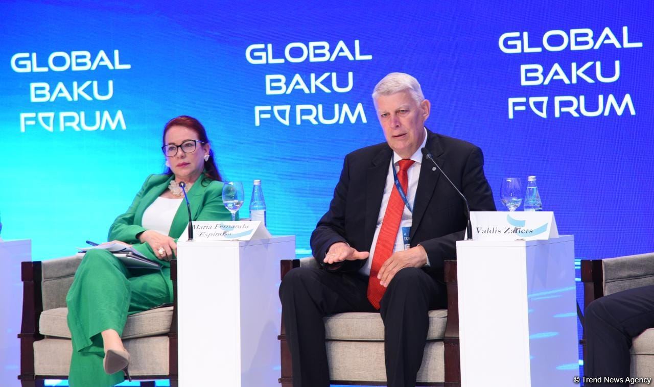 IX Global Baku Forum participants discuss health governance issues (PHOTO)