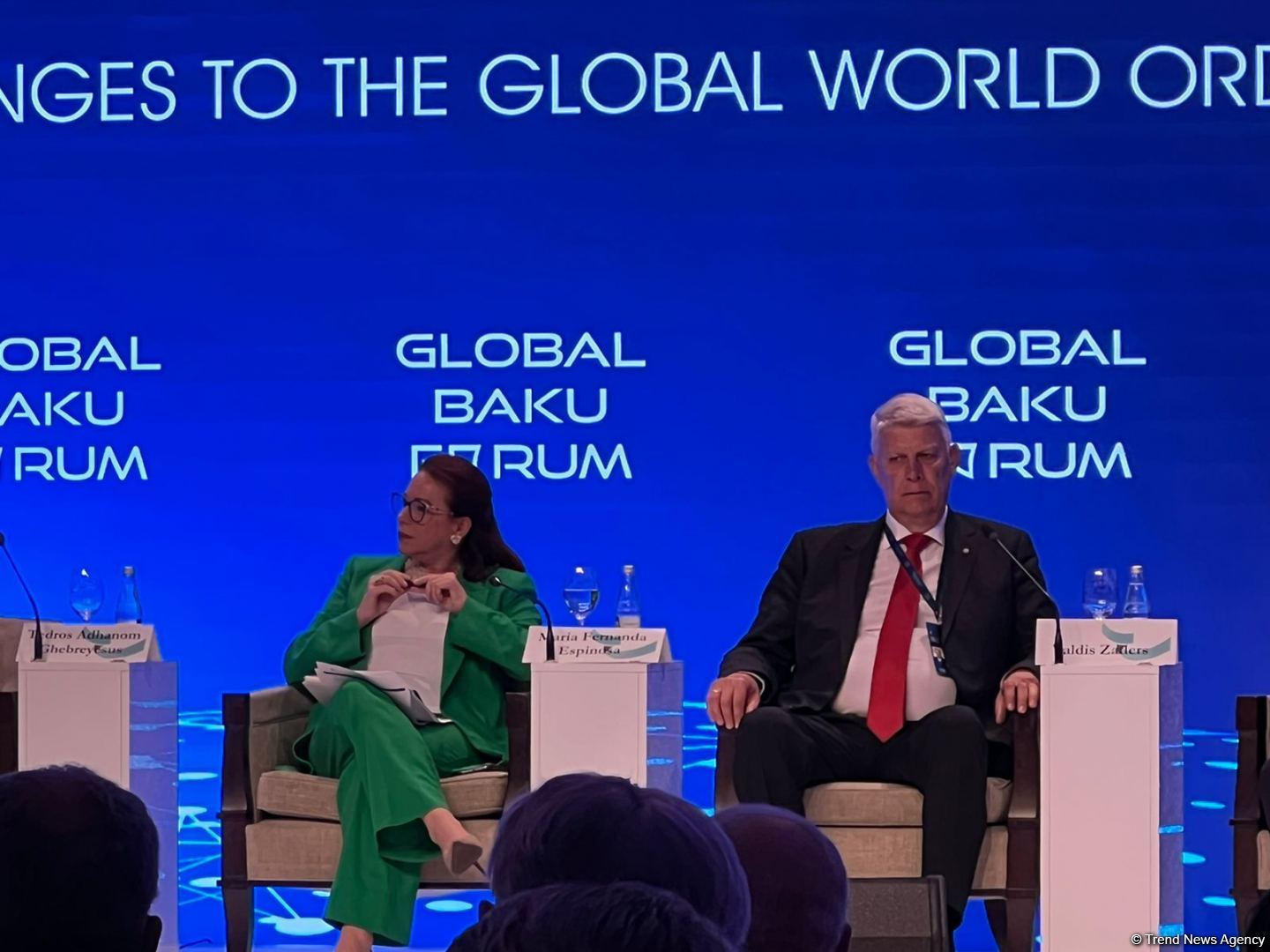 IX Global Baku Forum participants discuss health governance issues (PHOTO)