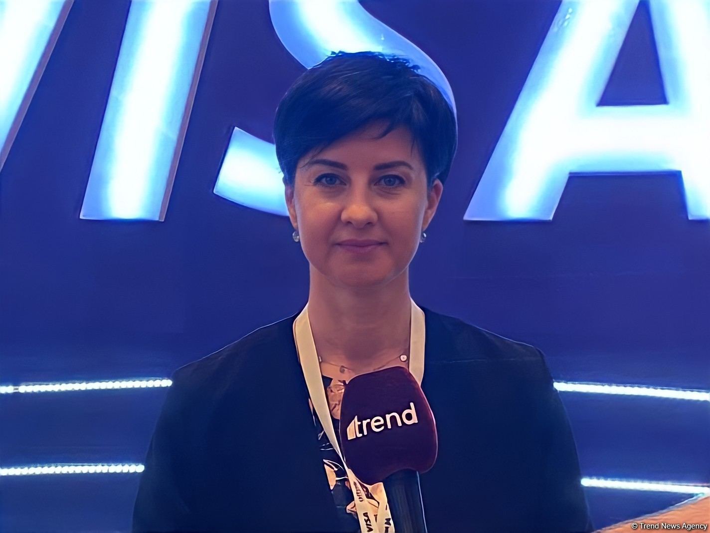Visa работает над расширением проекта B2B Connect в Азербайджане - Кристина Дорош