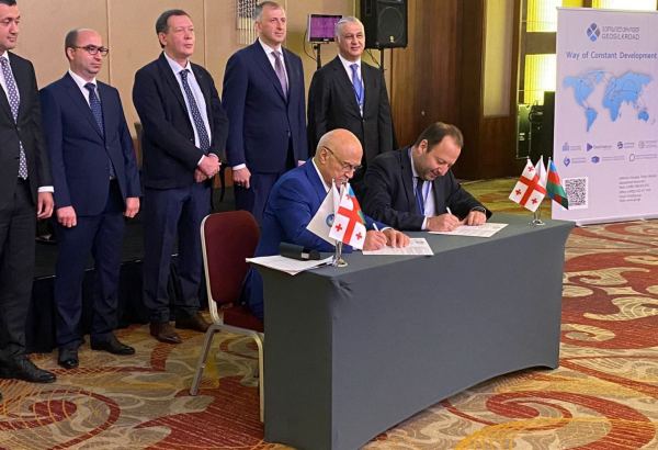 Azerbaijani Alat FEZ, Georgian Hualing FIZ agree on co-op (PHOTO)