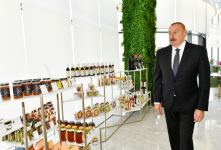 Президент Ильхам Алиев принял участие в открытии Сумгайытского регионального центра «ASAN xidmət» номер 2 (ФОТО/ВИДЕО)