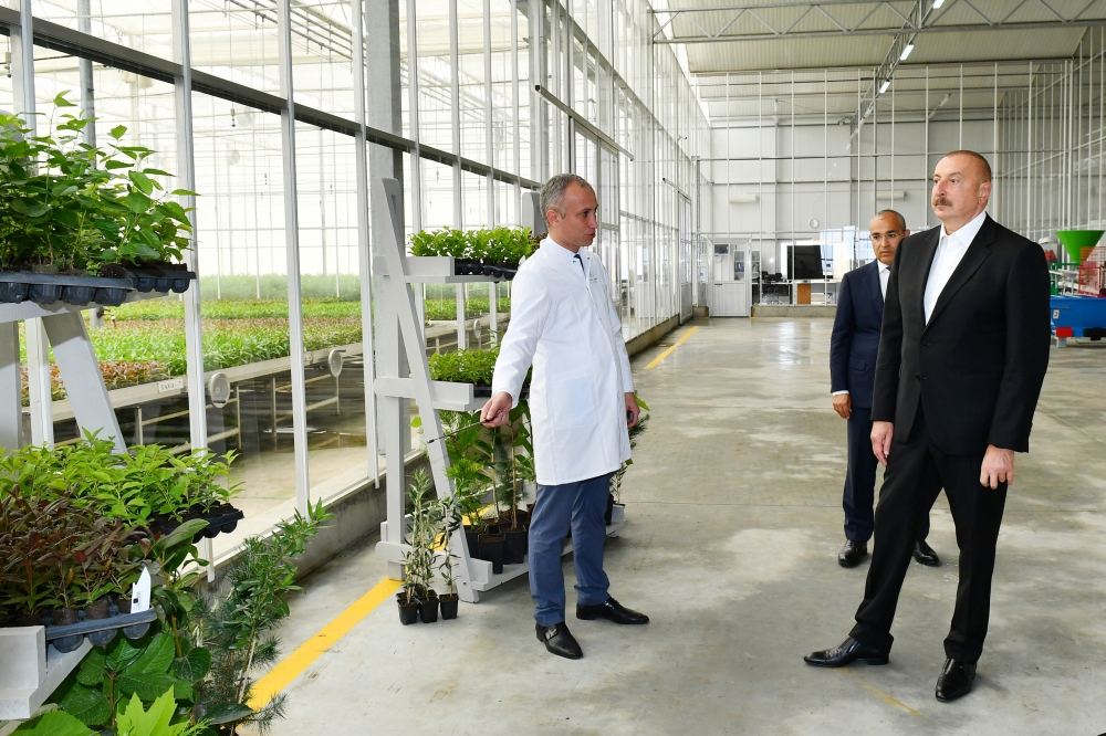 Президент Ильхам Алиев и Первая леди Мехрибан Алиева ознакомились с предприятием ООО Grand-Agro İnvitro, приняли участие в открытии перерабатывающего завода ООО «Азбадам» (ФОТО/ВИДЕО)