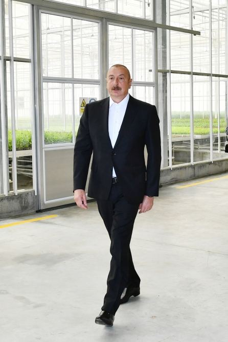 Президент Ильхам Алиев и Первая леди Мехрибан Алиева ознакомились с предприятием ООО Grand-Agro İnvitro, приняли участие в открытии перерабатывающего завода ООО «Азбадам» (ФОТО/ВИДЕО)