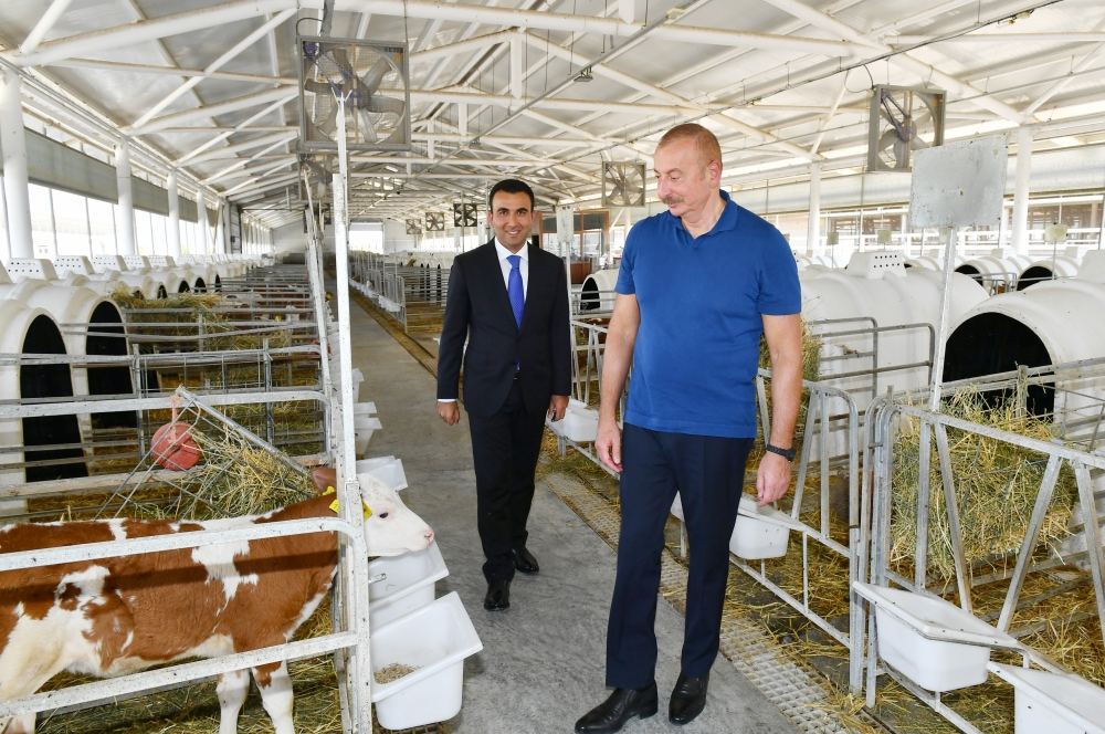 Президент Ильхам Алиев ознакомился с деятельностью Агсуинского агропарка (ФОТО/ВИДЕО)