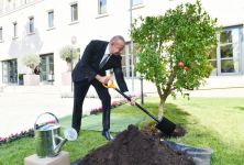 Президент Ильхам Алиев принял участие в открытии нового здания посольства Азербайджана в Италии (ФОТО/ВИДЕО)