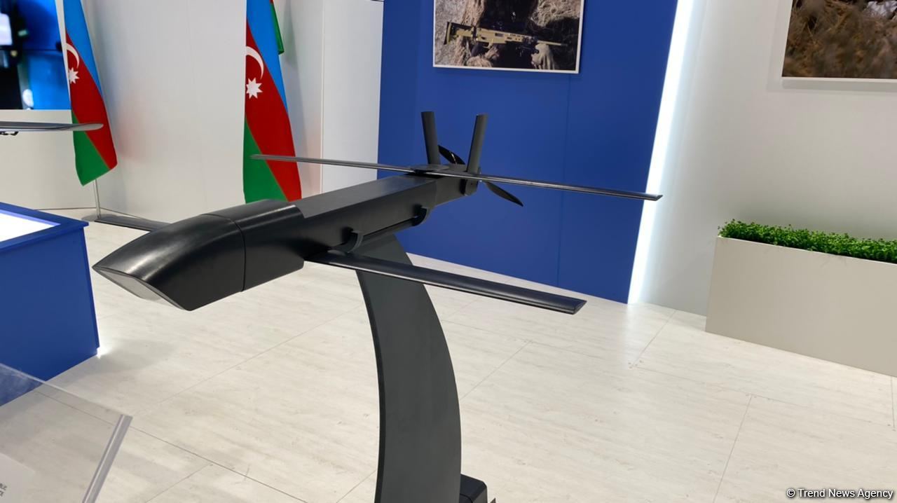 В Азербайджане произведены разведывательные и боевые БПЛА (ФОТО)