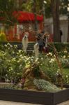 Работы азербайджанского флориста признаны одними из лучших в России (ФОТО)