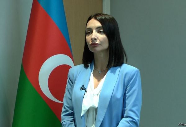 Резолюция Сената Франции наносит вред усилиям по миростроительству в регионе - посол