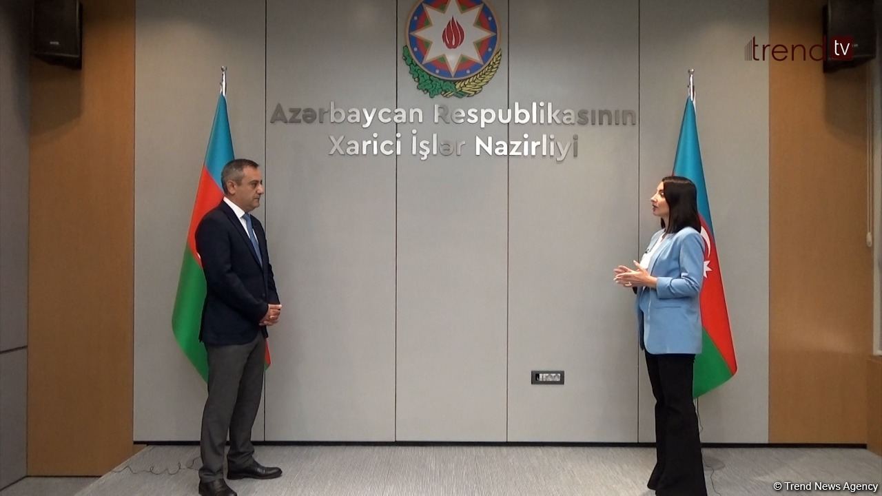 Лейла Абдуллаева об истинных мотивах военных провокаций Армении (ФОТО/ВИДЕО)
