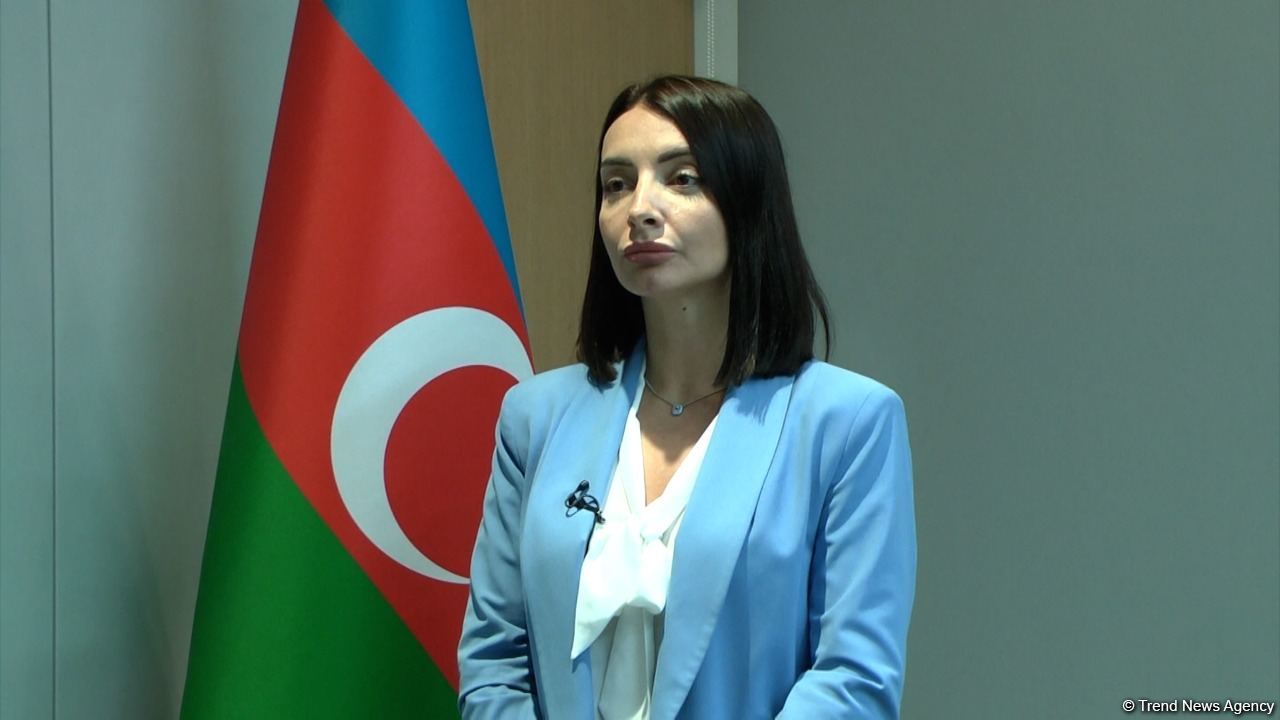 Резолюция Сената Франции наносит вред усилиям по миростроительству в регионе - посол
