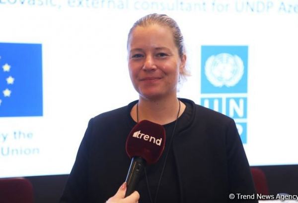 More funding needed for social enterprises in Azerbaijan - UNDP expert