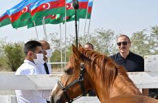 President Ilham Aliyev, First Lady Mehriban Aliyeva attend groundbreaking ceremony of Horse Breeding Center in Aghdam (PHOTO/VIDEO)