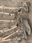 В Ходжавенде обнаружено еще одно массовое захоронение (ФОТО)