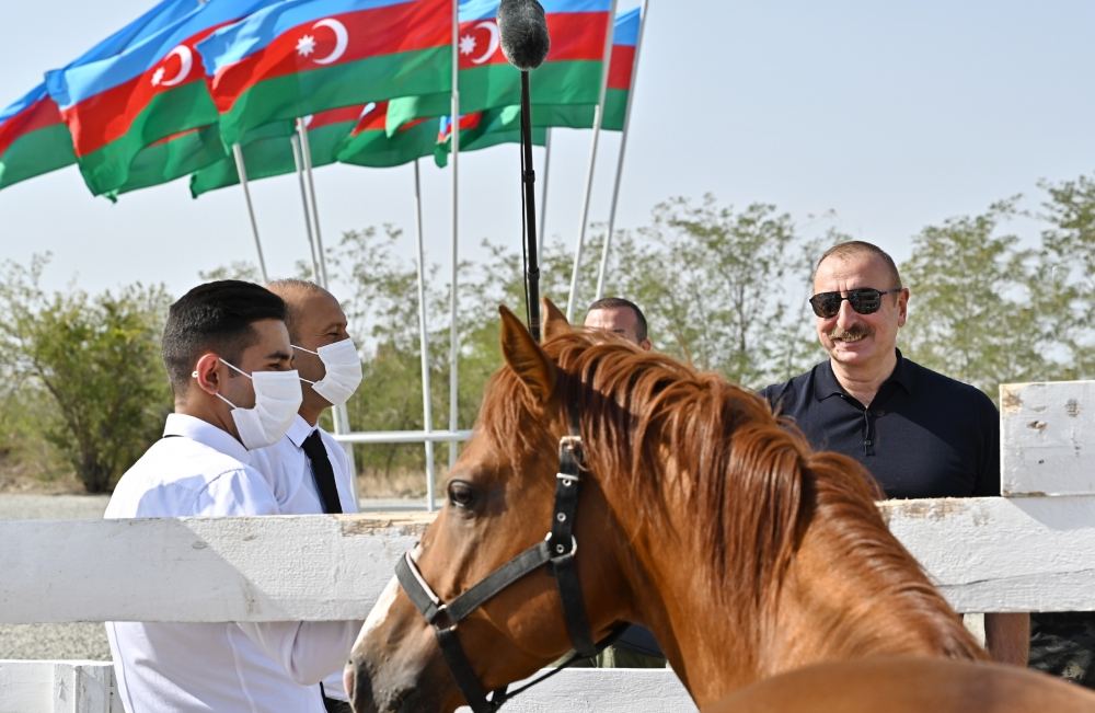 President Ilham Aliyev, First Lady Mehriban Aliyeva attend groundbreaking ceremony of Horse Breeding Center in Aghdam (PHOTO/VIDEO)