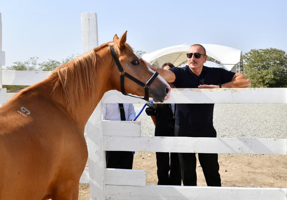 President Ilham Aliyev, First Lady Mehriban Aliyeva attend groundbreaking ceremony of Horse Breeding Center in Aghdam (PHOTO/VIDEO)