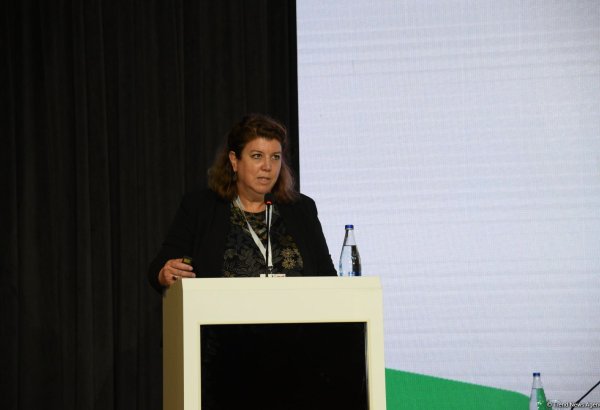 UN-Habitat to collaborate with Azerbaijan on designing villages in liberated territories - Anna Soave