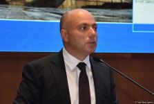 Наземные мины препятствуют проведению археологических работ на освобожденных территориях Азербайджана - Анар Керимов