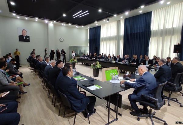 Azerbaijan to expand orchards areas in liberated territories, says official