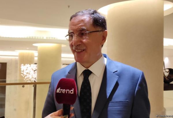 Armenia tried to erase traces of Azerbaijan's national and cultural heritage - Turkish official (Exclusive)