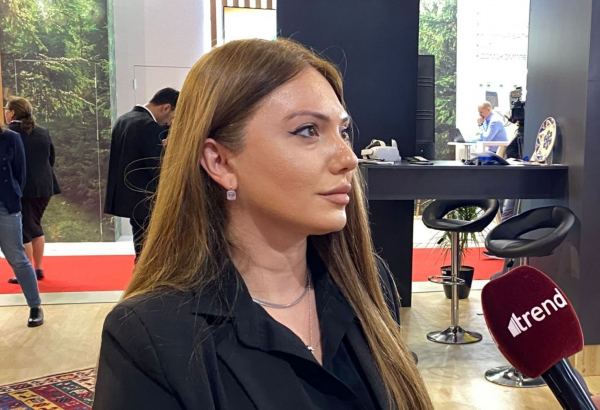 Azerbaijan's ministry presents models of museums, memorial complexes to be created on its liberated lands (PHOTO)