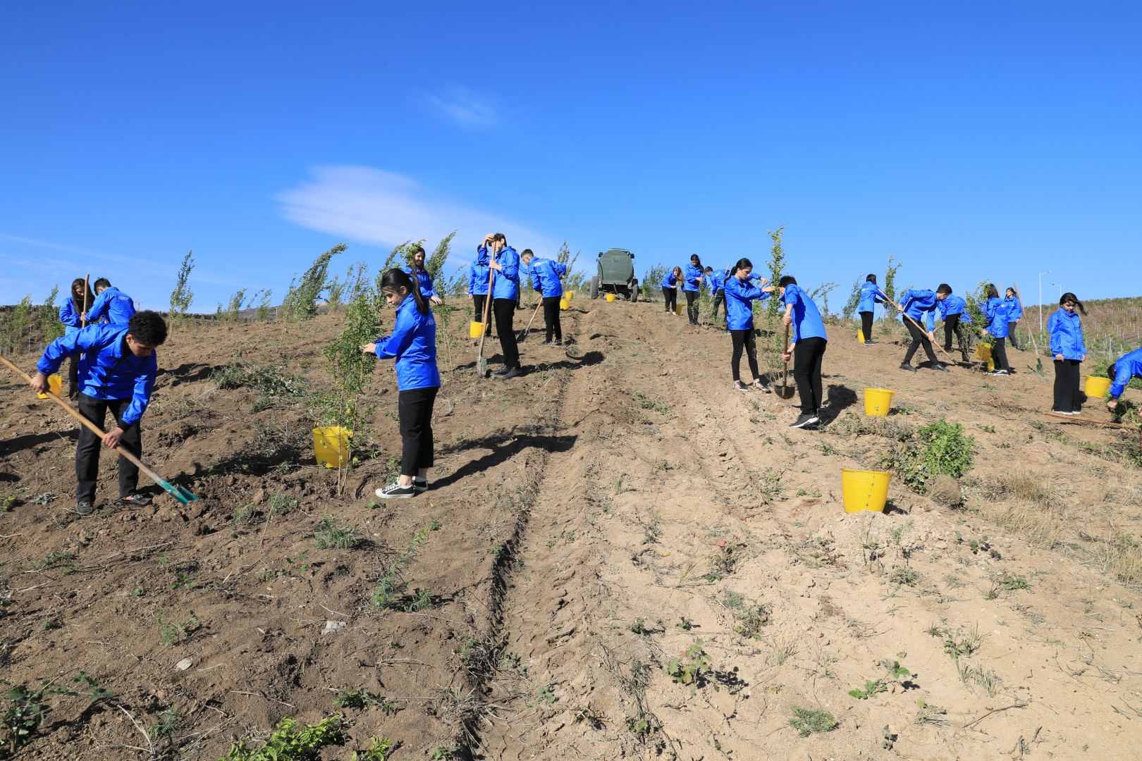 Tree planting campaign held in Azerbaijan's Shamakhi following Heydar Aliyev Foundation's initiative (PHOTO/VIDEO)