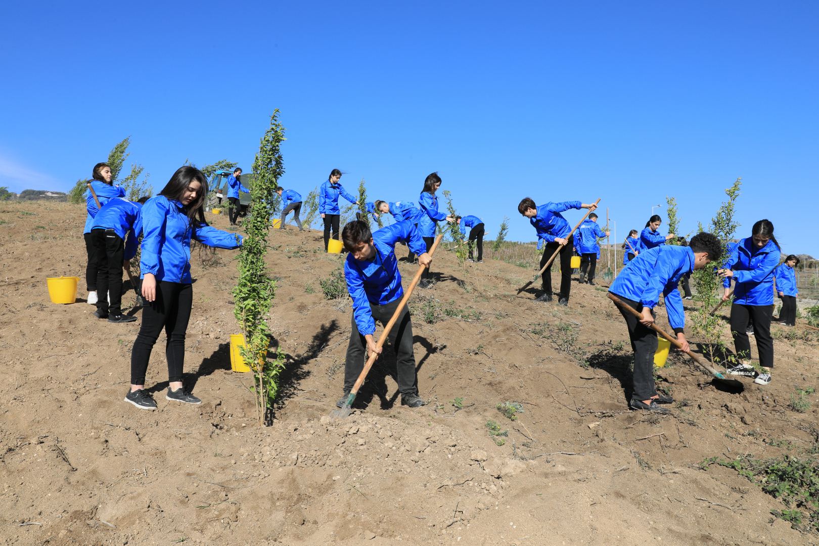Tree planting campaign held in Azerbaijan's Shamakhi following Heydar Aliyev Foundation's initiative (PHOTO/VIDEO)