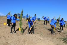 Tree planting campaign held in Azerbaijan's Shamakhi following Heydar Aliyev Foundation's initiative (PHOTO/VIDEO)
