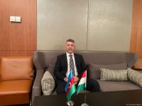 Hungarian companies start negotiations on gas imports from Azerbaijan - Ambassador (Interview) (PHOTO)