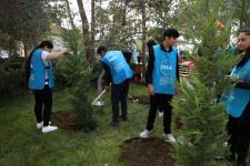 VP of Heydar Aliyev Foundation Leyla Aliyeva attends inauguration of another yard redeveloped under “Our yard” project (PHOTO)