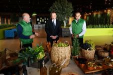 President Ilham Aliyev attends opening of olive oil and table olive products processing plant in Zira settlement (PHOTO/VIDEO)