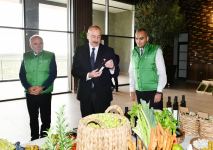 President Ilham Aliyev attends opening of olive oil and table olive products processing plant in Zira settlement (PHOTO/VIDEO)