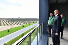 President Ilham Aliyev attends opening of olive oil and table olive products processing plant in Zira settlement (PHOTO/VIDEO)