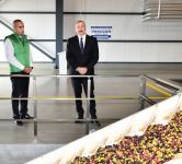 President Ilham Aliyev attends opening of olive oil and table olive products processing plant in Zira settlement (PHOTO/VIDEO)