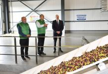 President Ilham Aliyev attends opening of olive oil and table olive products processing plant in Zira settlement (PHOTO/VIDEO)