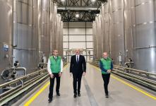 President Ilham Aliyev attends opening of olive oil and table olive products processing plant in Zira settlement (PHOTO/VIDEO)