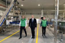President Ilham Aliyev attends opening of olive oil and table olive products processing plant in Zira settlement (PHOTO/VIDEO)