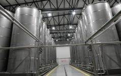 President Ilham Aliyev attends opening of olive oil and table olive products processing plant in Zira settlement (PHOTO/VIDEO)