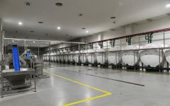 President Ilham Aliyev attends opening of olive oil and table olive products processing plant in Zira settlement (PHOTO/VIDEO)