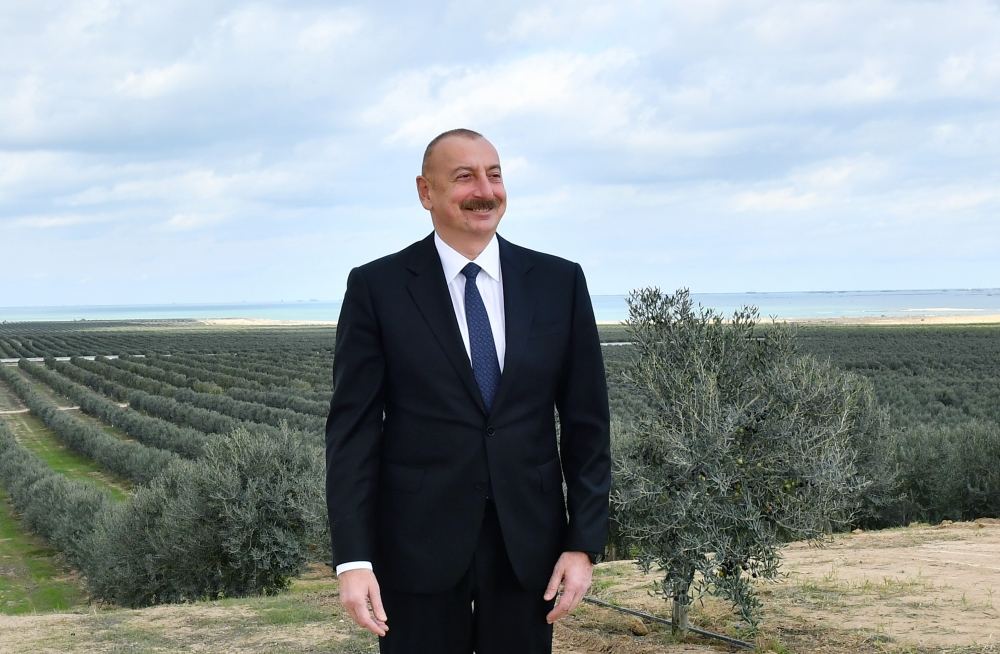 President Ilham Aliyev attends opening of olive oil and table olive products processing plant in Zira settlement (PHOTO/VIDEO)