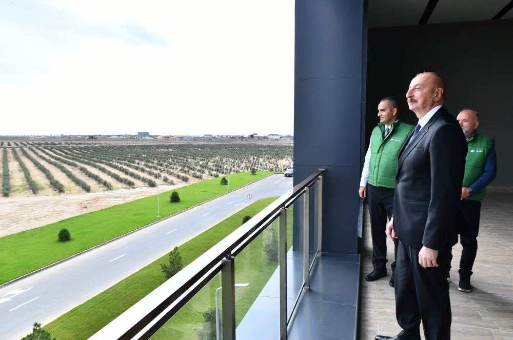President Ilham Aliyev attends opening of olive oil and table olive products processing plant in Zira settlement (PHOTO/VIDEO)