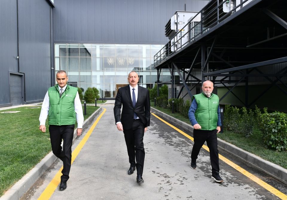 President Ilham Aliyev attends opening of olive oil and table olive products processing plant in Zira settlement (PHOTO/VIDEO)