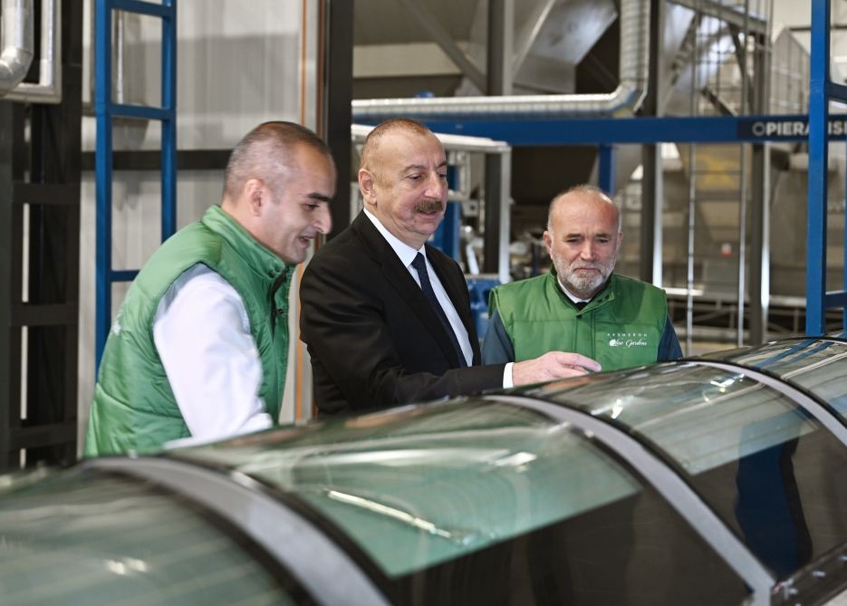 President Ilham Aliyev attends opening of olive oil and table olive products processing plant in Zira settlement (PHOTO/VIDEO)