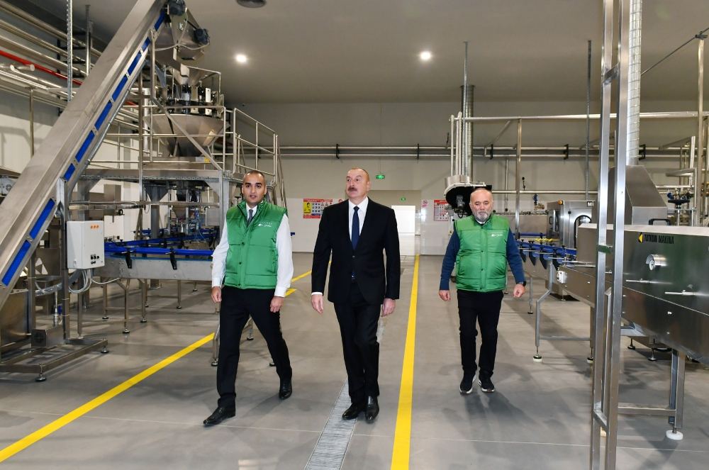 President Ilham Aliyev attends opening of olive oil and table olive products processing plant in Zira settlement (PHOTO/VIDEO)