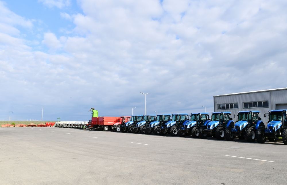 President Ilham Aliyev attends opening of olive oil and table olive products processing plant in Zira settlement (PHOTO/VIDEO)