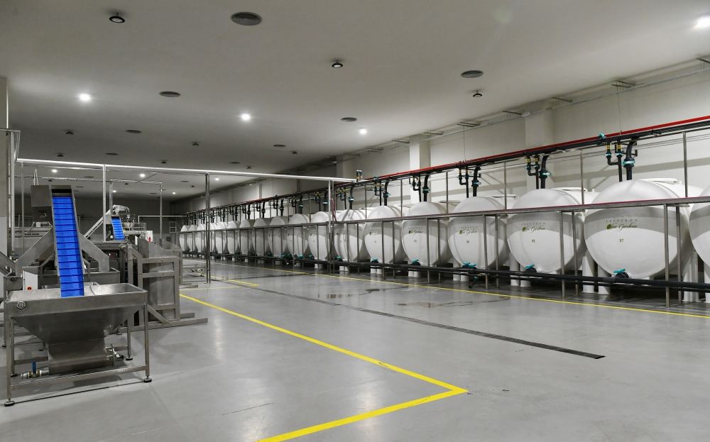President Ilham Aliyev attends opening of olive oil and table olive products processing plant in Zira settlement (PHOTO/VIDEO)