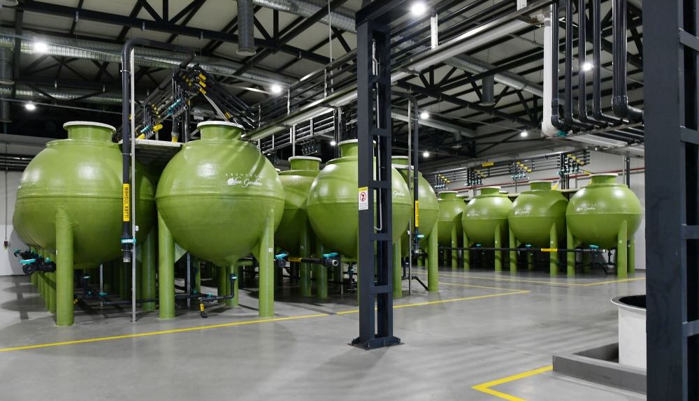 President Ilham Aliyev attends opening of olive oil and table olive products processing plant in Zira settlement (PHOTO/VIDEO)