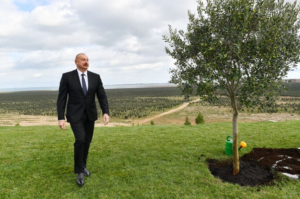 President Ilham Aliyev attends opening of olive oil and table olive products processing plant in Zira settlement (PHOTO/VIDEO)