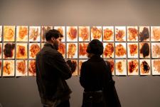 Безопасная зона - Пространство Современного Искусства YARAT представило коллективную выставку (ФОТО)