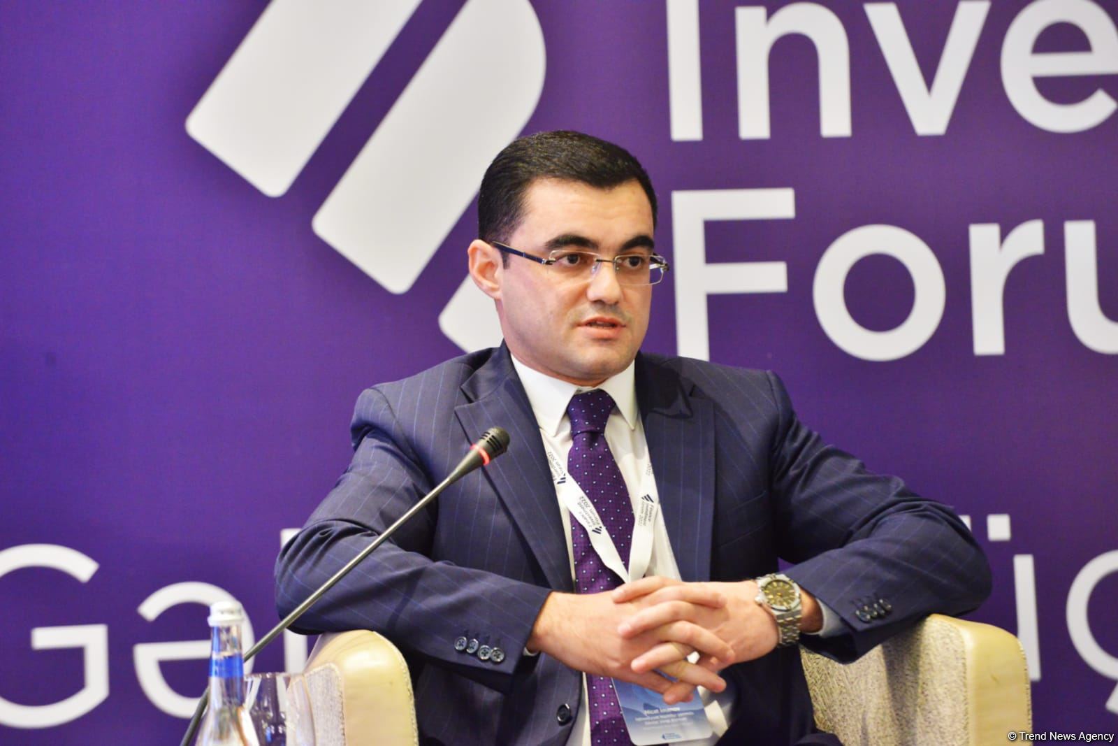 Azerbaijan creates favorable business environment in economic zones - official